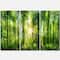 Designart - Forest with Rays of Sun Panorama - Landscape Art Print Canvas